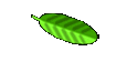 Ankndigungen