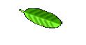 Espanol