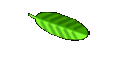 Friends Links