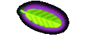 Shakalaka